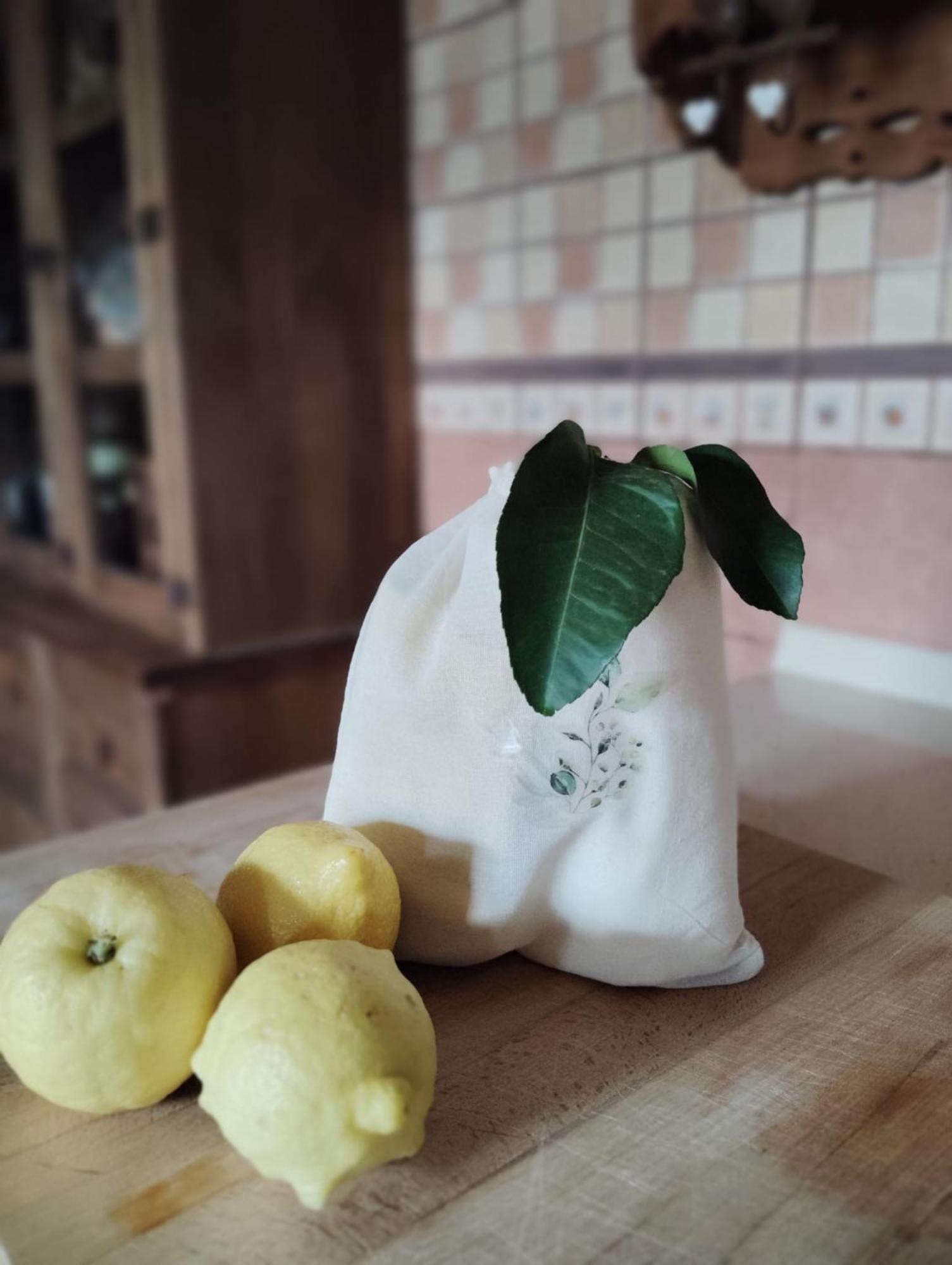 Arenas de Iguña El Limoneroヴィラ エクステリア 写真